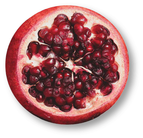 Pomegranate Rosemary Treatment Oil