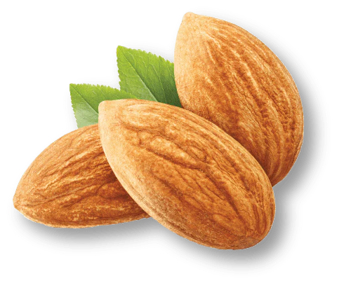 Sweet Almond Mint Ultra Nourishing Intensive Body Treatment