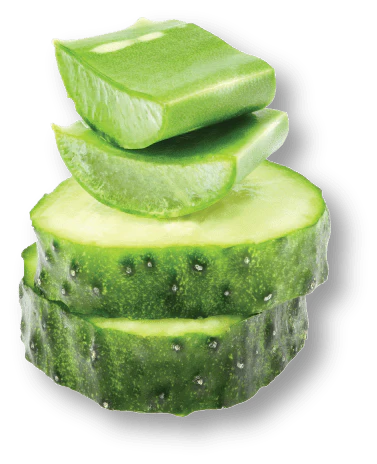 Cucumber Aloe Ultra Nourishing Intensive Body Treatment 2 Cucumber Aloe Ultra Nourishing Intensive Body Treatment